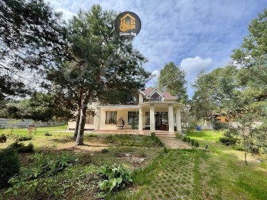 Оренда 3-кімнатної квартири 250 м², Соснова вул.