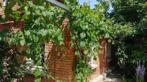 D1A Продам дом Холодная Гора, пер. Варшавский.
