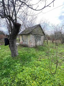 Затишна дачна ділянка з садом- ідеальне місце для відпочинку та врожаю