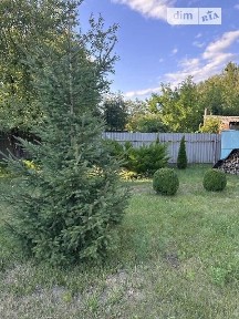 Набережна вулиця, мікрорайон Вакуленці, район Подільський, Полтава, вул. Набережна • ID 34683824