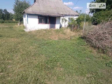Продаж 1 поверхового будинку з ділянкою на 25 соток, 56 кв. м, 2 кімнати, на Лісова • ID 34680368