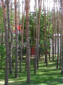 Столичне шосе, район Голосіївський, Київ, шосе Столичне • ID 34676211