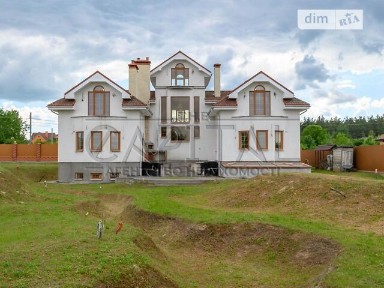 вулиця Центральна, Святопетрівське, вул. Центральна • ID 34675568