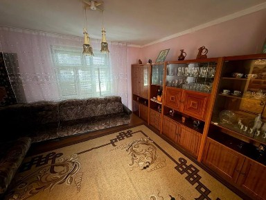 Продається будинок у селі Велика Копаня