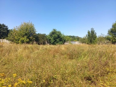 Київська область, Біла Церква