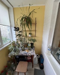 Продам 3 ком квартиру ул Калиновая пр Слобожанский