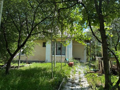 Тихе життя поруч із природою - будинок у Кострижівці