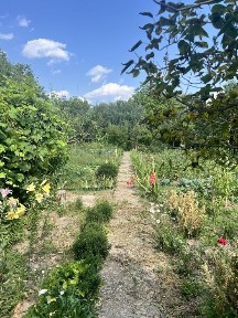 Чернігівська область, Чернігів