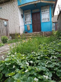 Чернігівська область, Олишівка