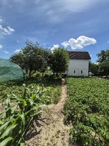 Продаж чудової дачі. 10 сот землі. Березанка
