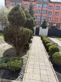 Київська область, Софіївська Борщагівка