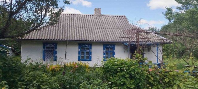 Київська область, Дрозди