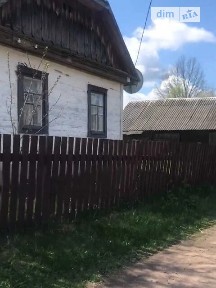 Народичі