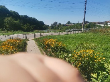 Київська область, Сквира