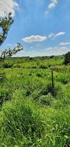Житомирська область, Городище