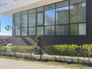 Львівська область, Львів, Шевченківський
