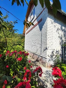 Дача в Жавинці біля р. Десна. 11 соток землі. Будинок 50 м2/SZ