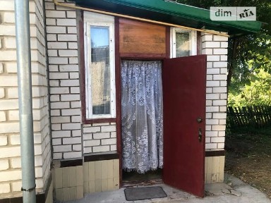 Ставище (Брусилів)