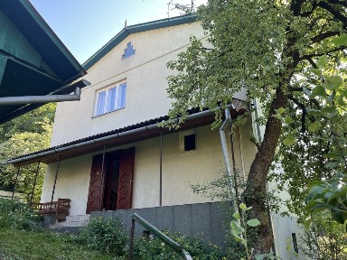 Продається будинок в Карпатах