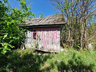 Продаж земельної ділянки 43 сотки з будинком у с. Старі Вороб'ї, Малинський район