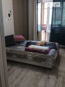 вулиця Європейська, Вишневе, вул. Європейська 24 • ID 34689088
