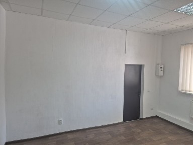 Здам офіс в центрі міста