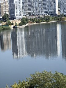 Драгоманова, ст. М