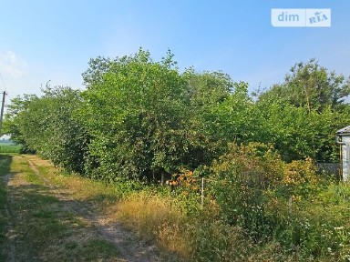 вулиця Андрія Бобира, Ничипорівка, вул. Андрія Бобира • ID 34692832