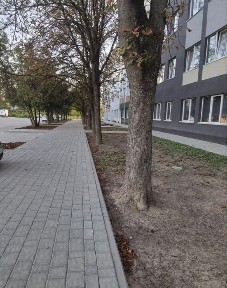 Закарпатська область, Ужгород