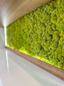 Київська область, Київ, Солом'янський