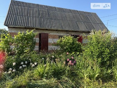 Продаж 1 поверхового будинку з опаленням і ділянкою на 12 соток, 50 кв. м, 2 кімнати, на вул. Масив новоселів • ID 34699557