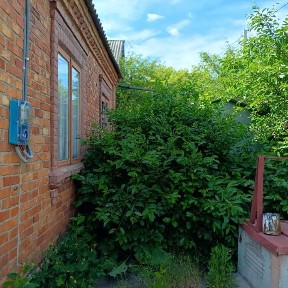 Продаю будинок в районі вул. Петровського