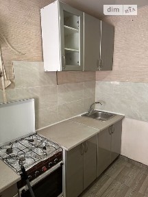 Калинова вулиця, мікрорайон Косіора, район Індустріальний, Дніпро, вул. Калинова 1 • ID 34699626