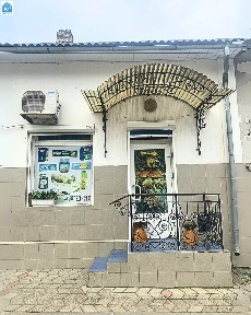 Вижниця