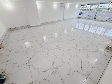 Київська область, Київ, Шевченківський