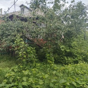 продажа небольшого дома г. Мерефа центр