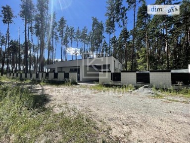 Продаж 1 поверхового будинку з верандою і ділянкою на 11.67 сотки, 176.4 кв. м, 3 кімнати, на Соснова • ID 34702975