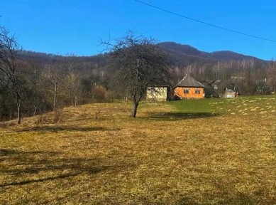 Продаж будинку