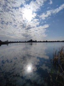 Київська область, Іванків
