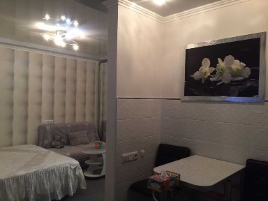 Аренда Троещина 1 и 2 комнатные, 4-6 спальных мест - посуточно, почасово, можно на месяц 
