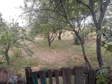 Продам дом Верхнеднепровск с Братское