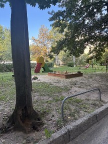 Харківська область, Харків, Шевченківський