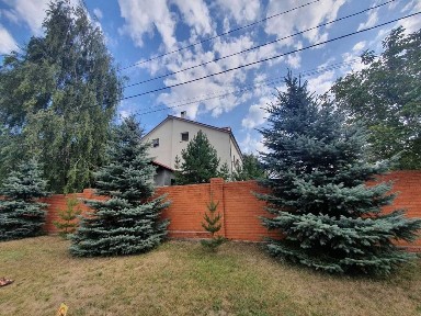 Сдам в аренду Дом в Новоалександровке