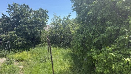 Закарпатська область, Ужгород