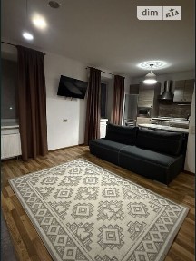 Довготривала оренда 1к квартири на вул. Дениса Рачінського 25А • ID 34703965