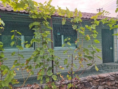 Продам свою дачу в лісі.