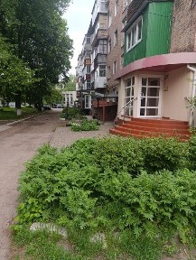 Оренда приміщення в центрі міста Сміла