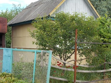 Чернігівська область, Чернігів