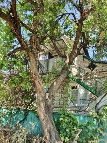 вулиця Мереф'янська, мікрорайон ДІІТ, район Соборний, Дніпро, вул. Мереф'янська 34707660