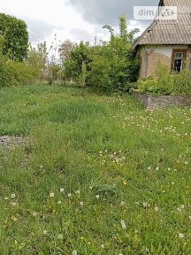 Скраглівка, Хорошевського • ID 34577360